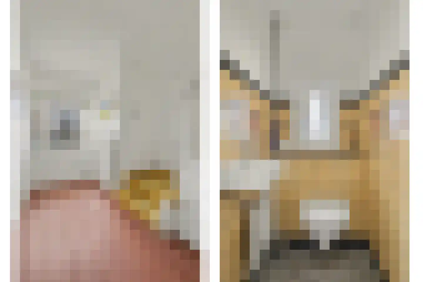 Van der Waalslaan 1 Enschede thumbnail 7