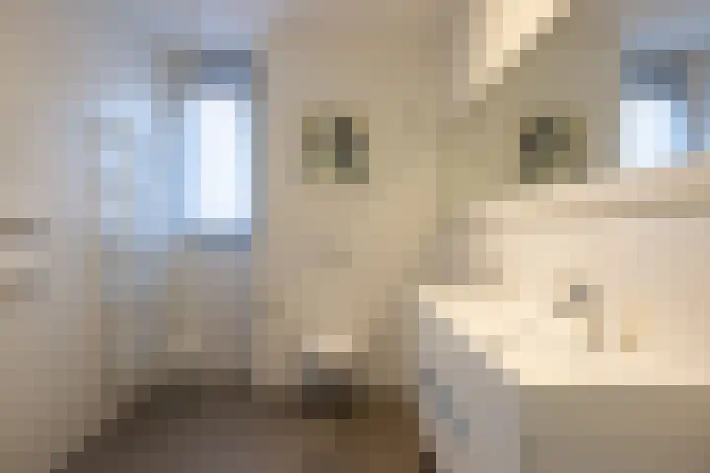 Van der Waalslaan 106 Rotterdam thumbnail 28