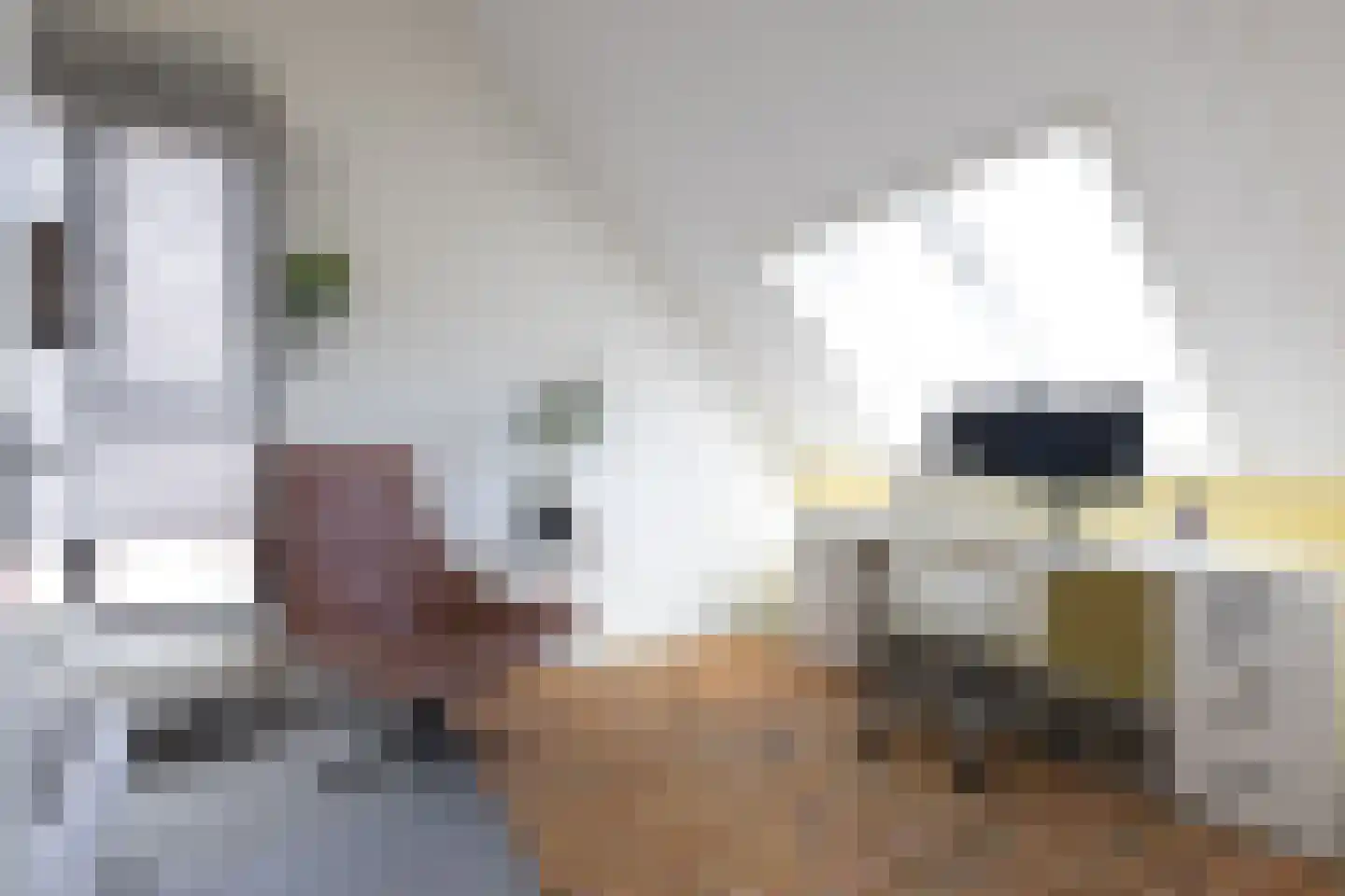 Van der Waalslaan 106 Rotterdam thumbnail 30