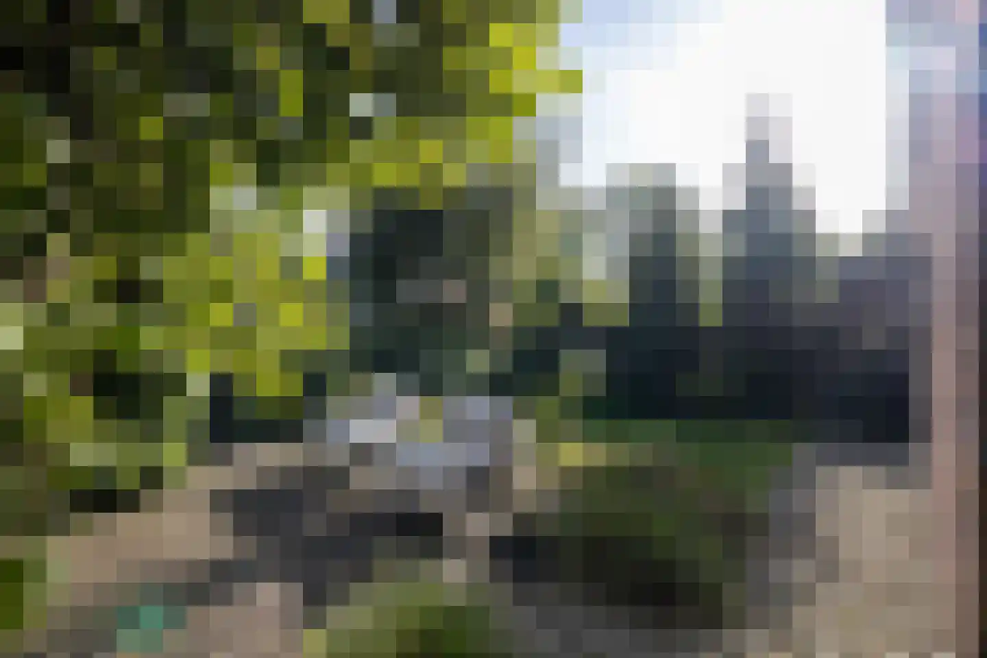 Van der Waalslaan 106 Rotterdam thumbnail 36