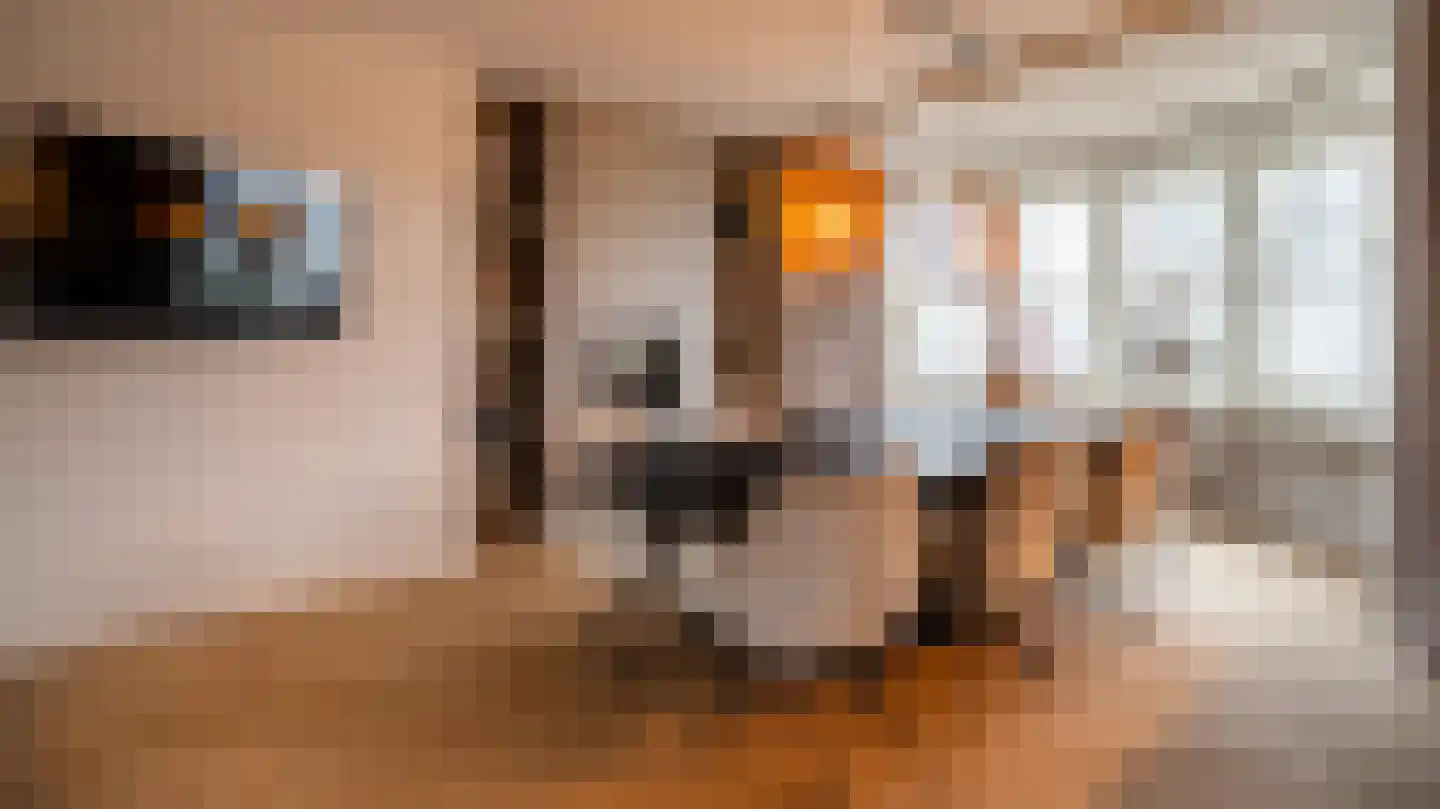Van der Waalslaan 3 Almelo thumbnail 10