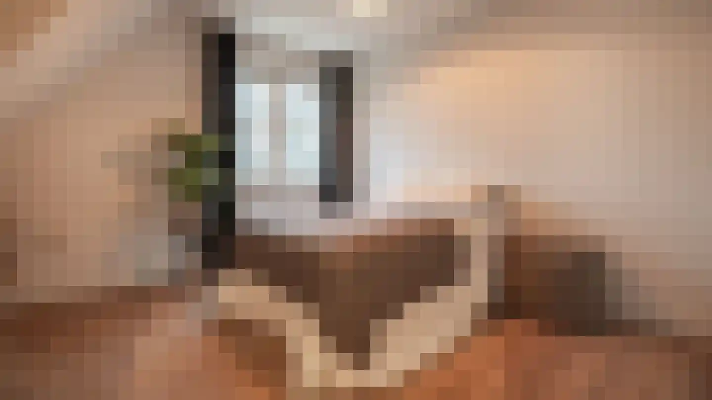 Van der Waalslaan 3 Almelo thumbnail 28