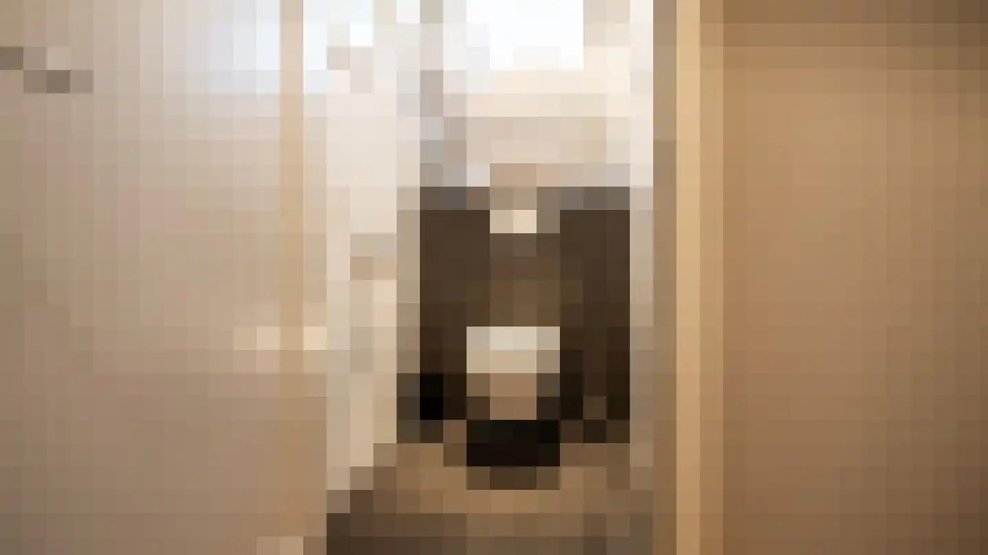 Van der Waalslaan 3 Almelo thumbnail 32
