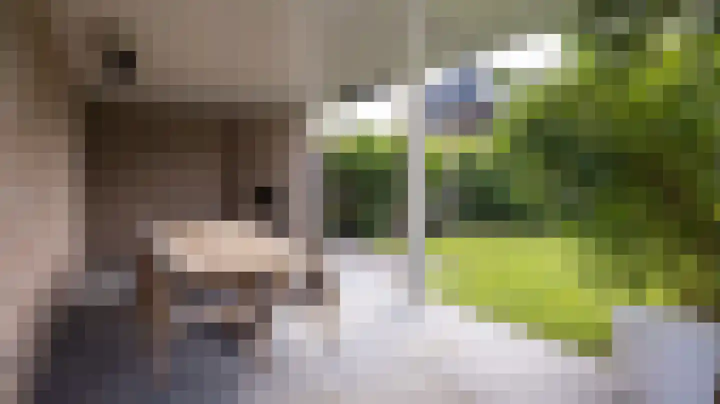 Van der Waalslaan 3 Almelo thumbnail 41