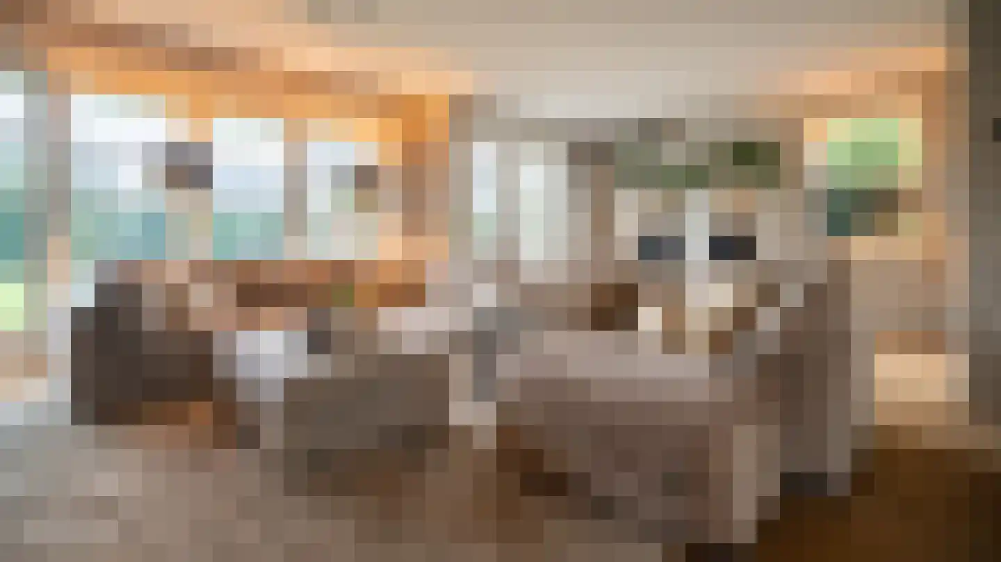 Van der Waalslaan 3 Almelo thumbnail 5