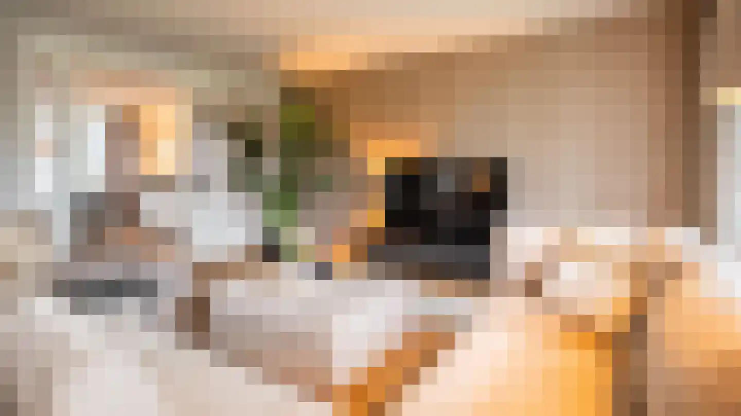 Van der Waalslaan 3 Almelo thumbnail 7