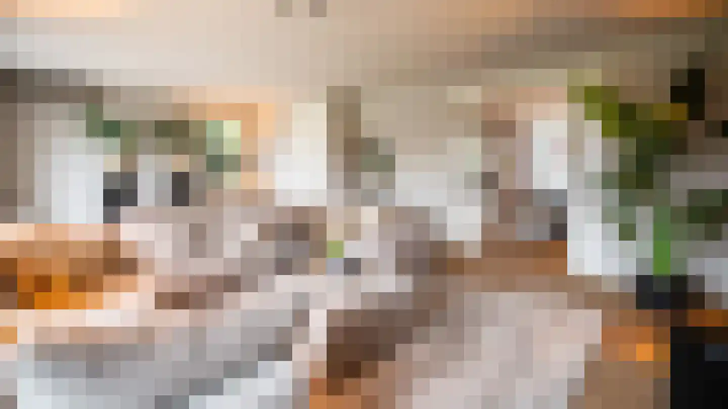 Van der Waalslaan 3 Almelo thumbnail 8