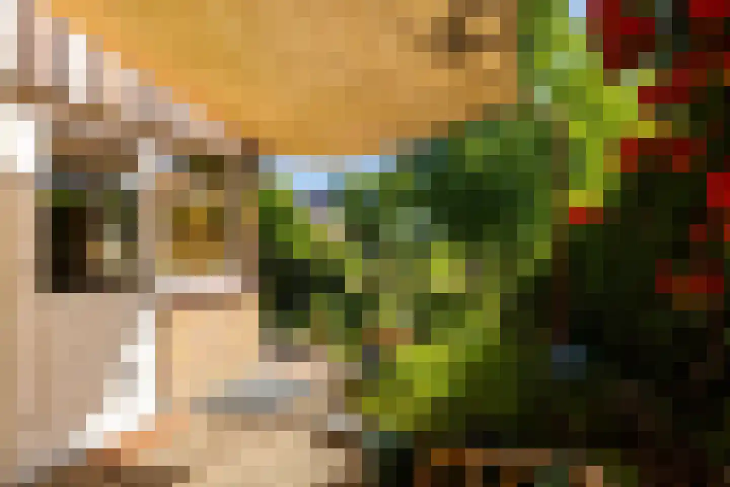 Van der Waalslaan 4 Dieren thumbnail 22