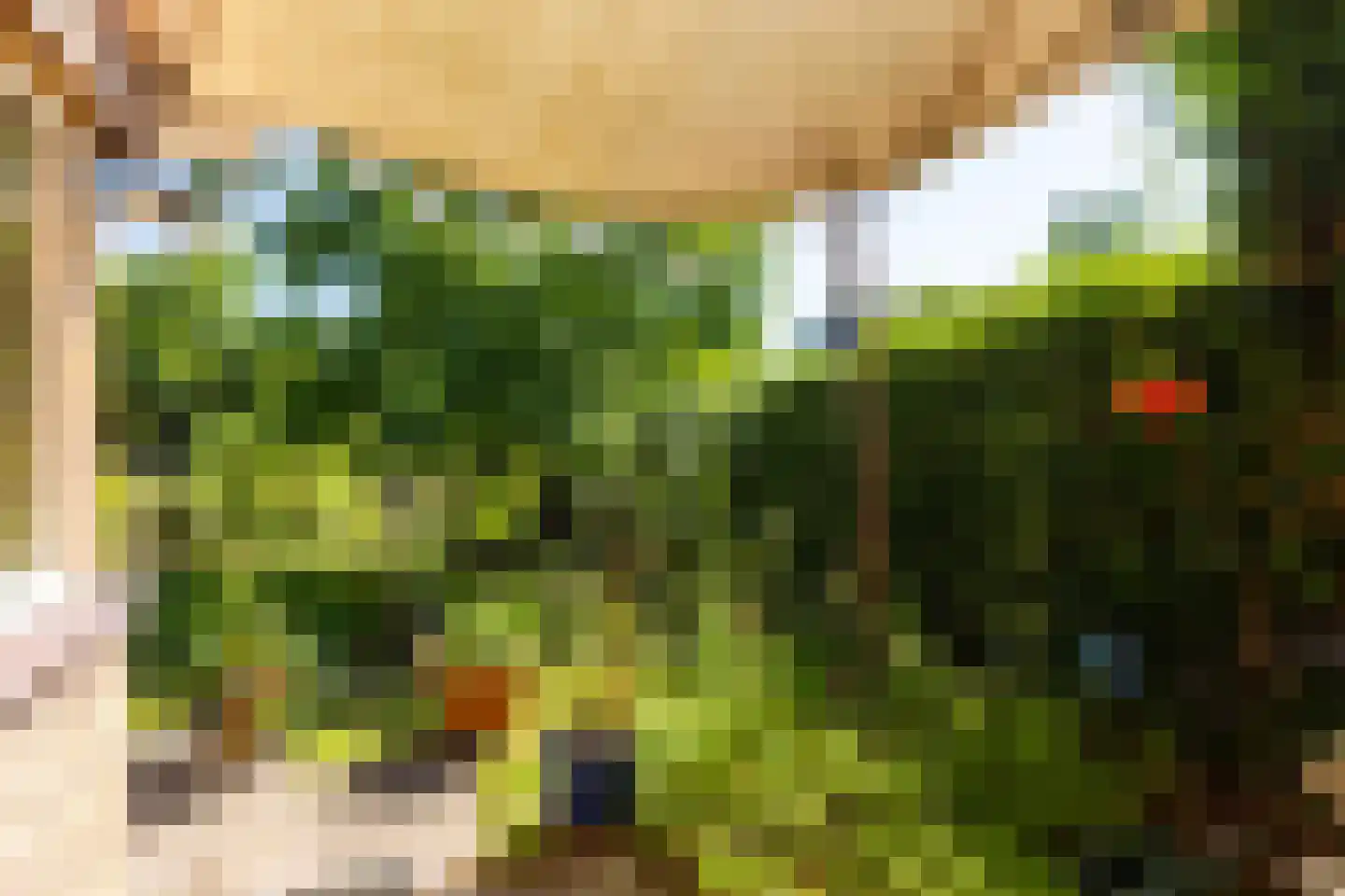 Van der Waalslaan 4 Dieren thumbnail 23