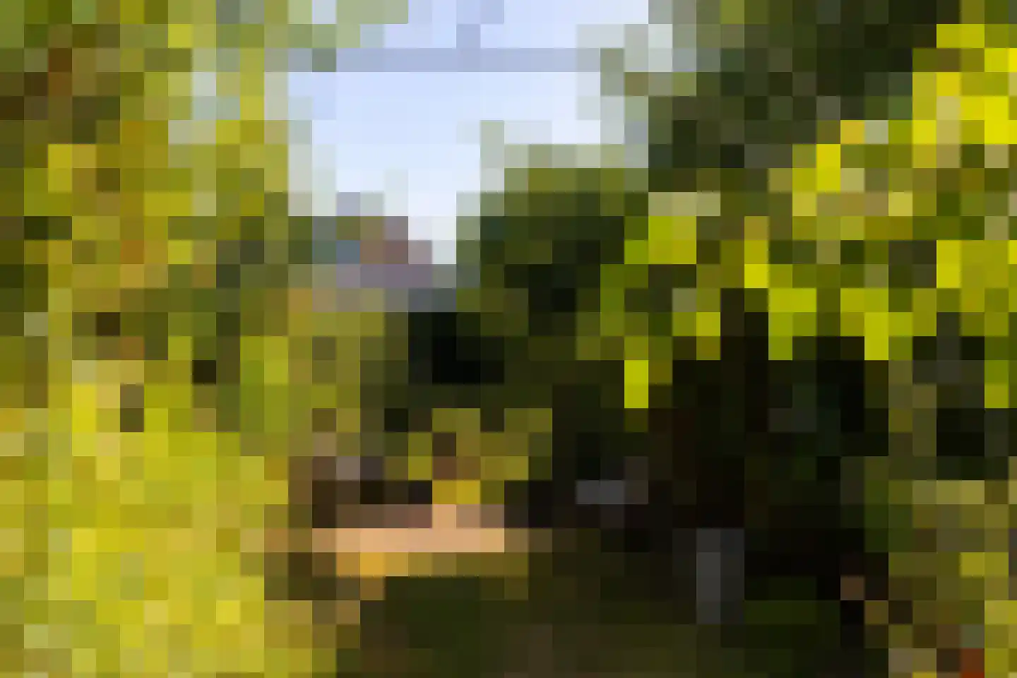 Van der Waalslaan 4 Dieren thumbnail 25