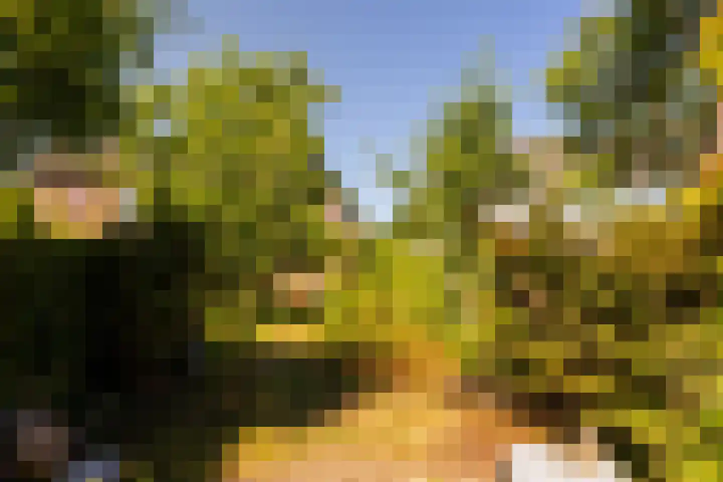 Van der Waalslaan 4 Dieren thumbnail 27