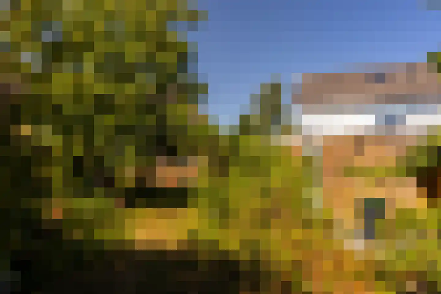 Van der Waalslaan 4 Dieren thumbnail 28