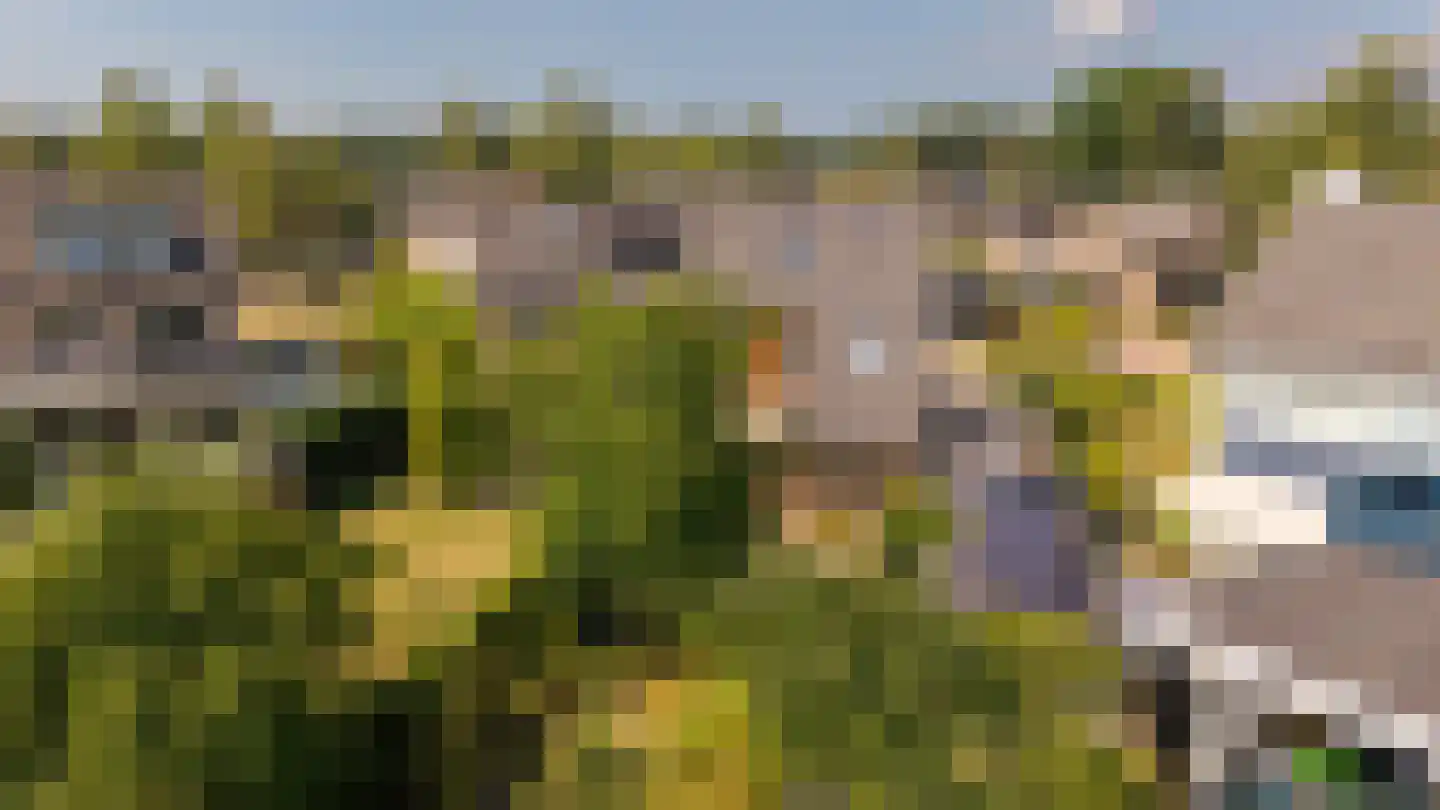Van der Waalslaan 4 Dieren thumbnail 30