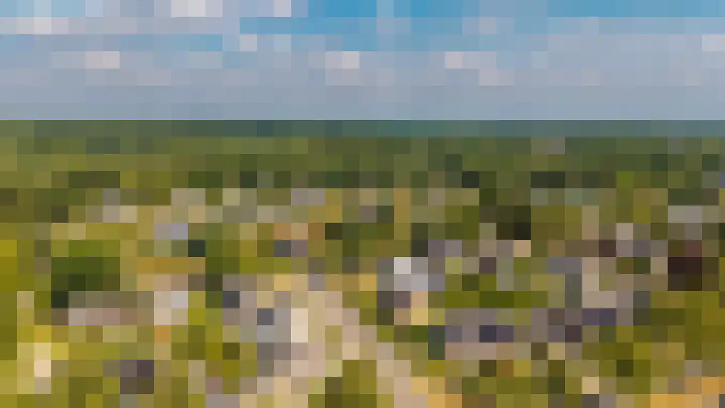 Van der Waalslaan 4 Dieren thumbnail 42