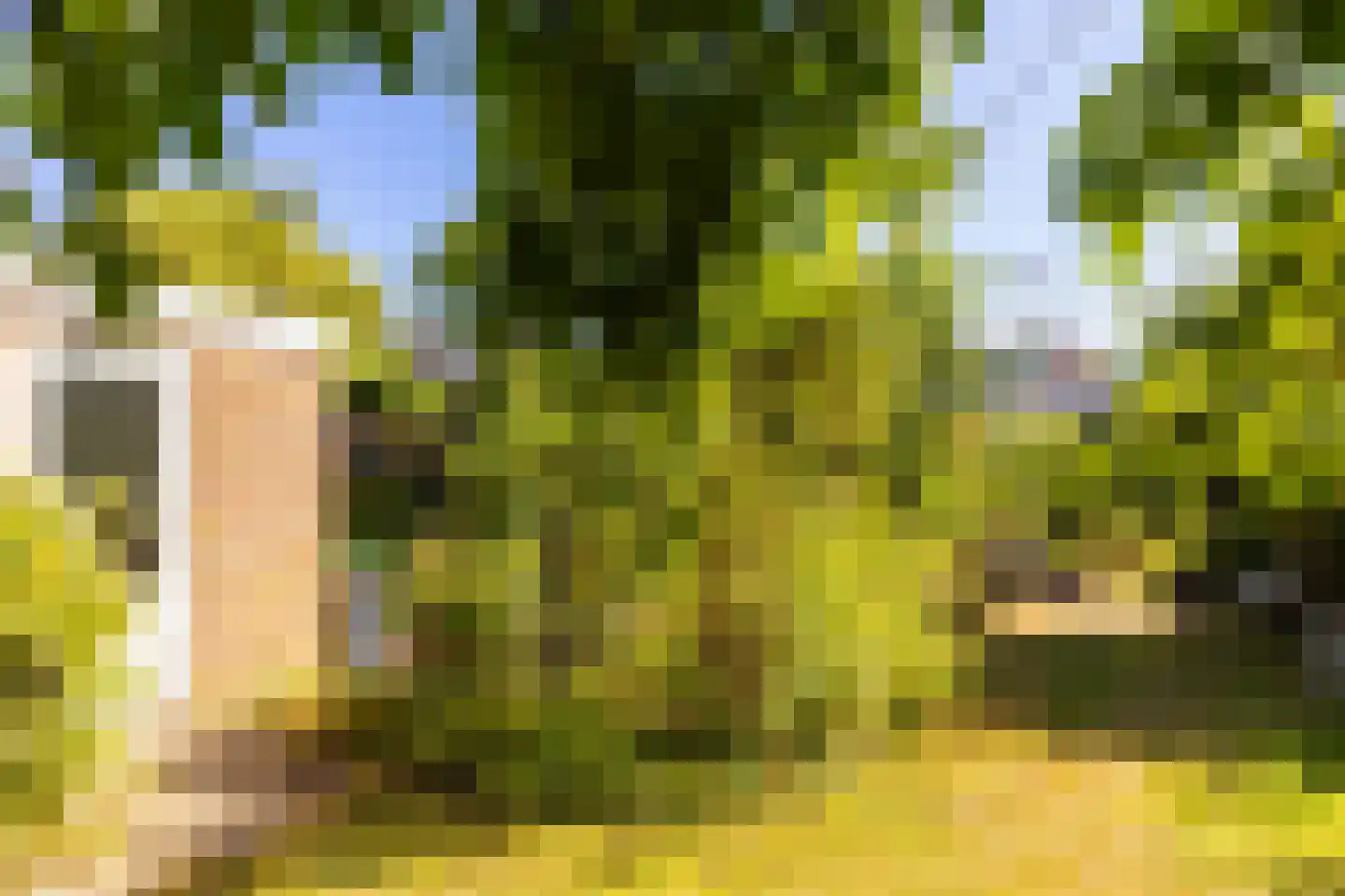 Van der Waalslaan 4 Dieren thumbnail 5