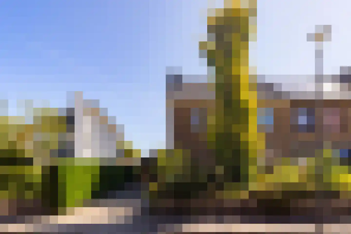 Van der Waalslaan 4 Dieren thumbnail 6