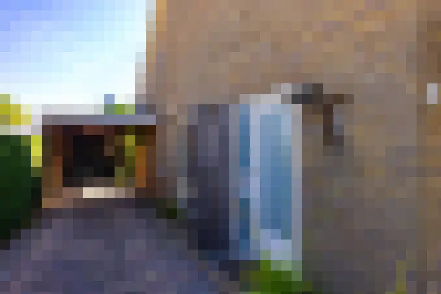 Van der Waalslaan 4 Dieren thumbnail 8