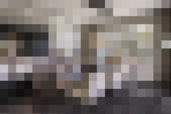 Van der Waalslaan 49 Almelo thumbnail 11