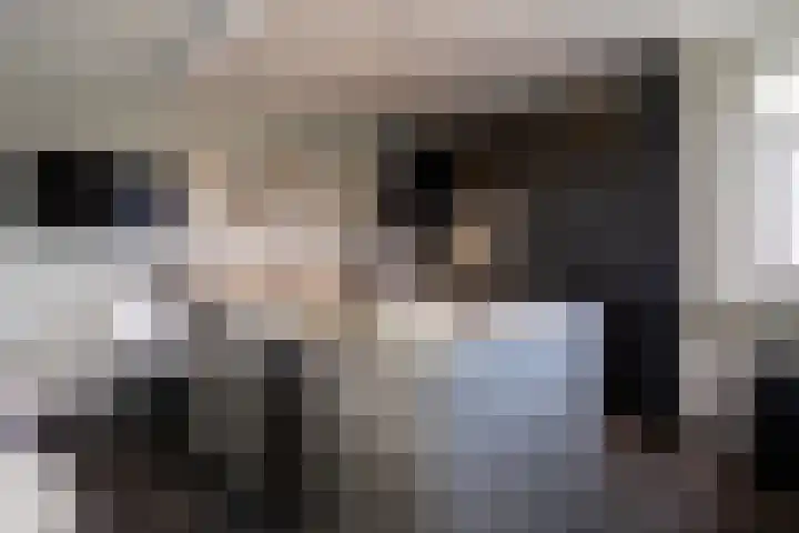 Van der Waalslaan 49 Almelo thumbnail 12