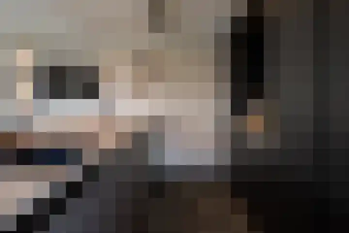Van der Waalslaan 49 Almelo thumbnail 14