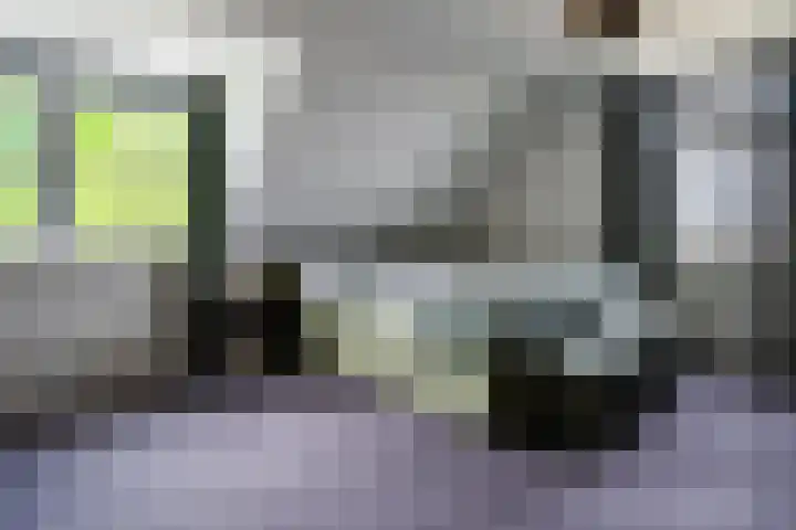 Van der Waalslaan 49 Almelo thumbnail 27