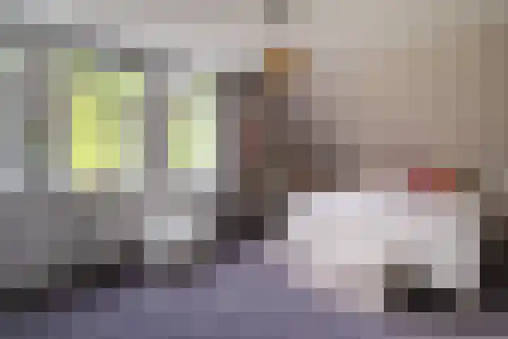 Van der Waalslaan 49 Almelo thumbnail 30