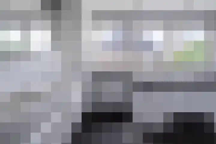 Van der Waalslaan 49 Almelo thumbnail 32