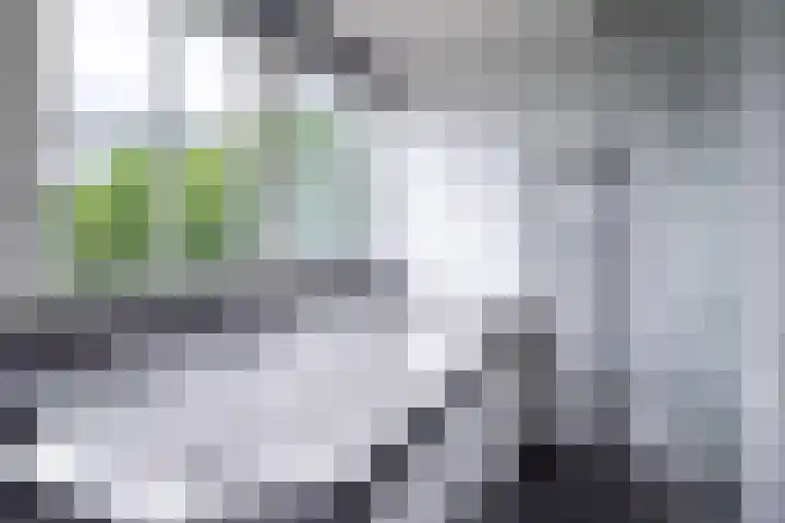 Van der Waalslaan 49 Almelo thumbnail 34