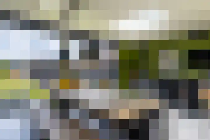 Van der Waalslaan 49 Almelo thumbnail 39