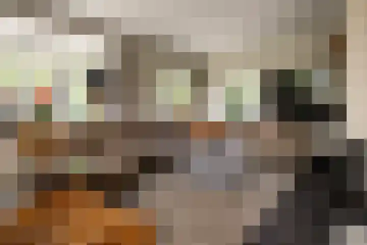 Van der Waalslaan 49 Almelo thumbnail 4
