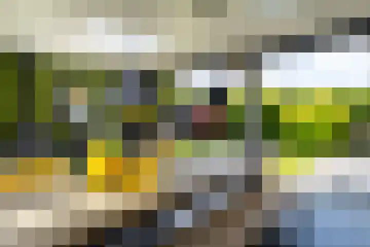 Van der Waalslaan 49 Almelo thumbnail 41