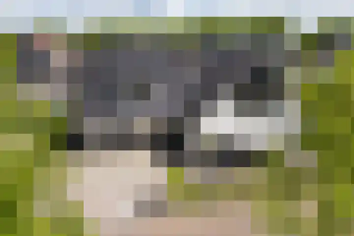 Van der Waalslaan 49 Almelo thumbnail 52