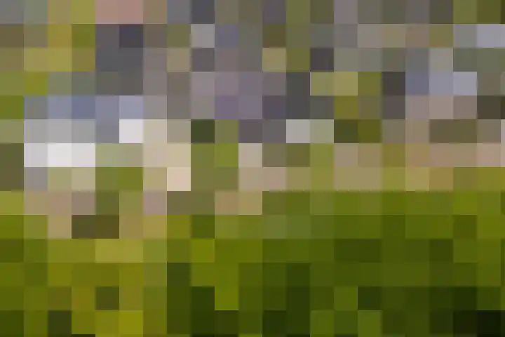 Van der Waalslaan 49 Almelo thumbnail 53