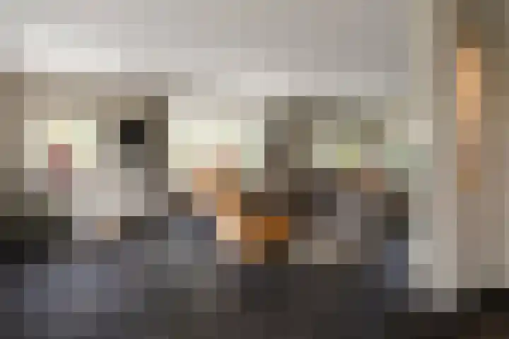 Van der Waalslaan 49 Almelo thumbnail 6