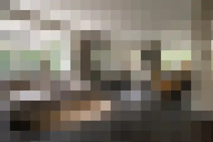 Van der Waalslaan 49 Almelo thumbnail 7