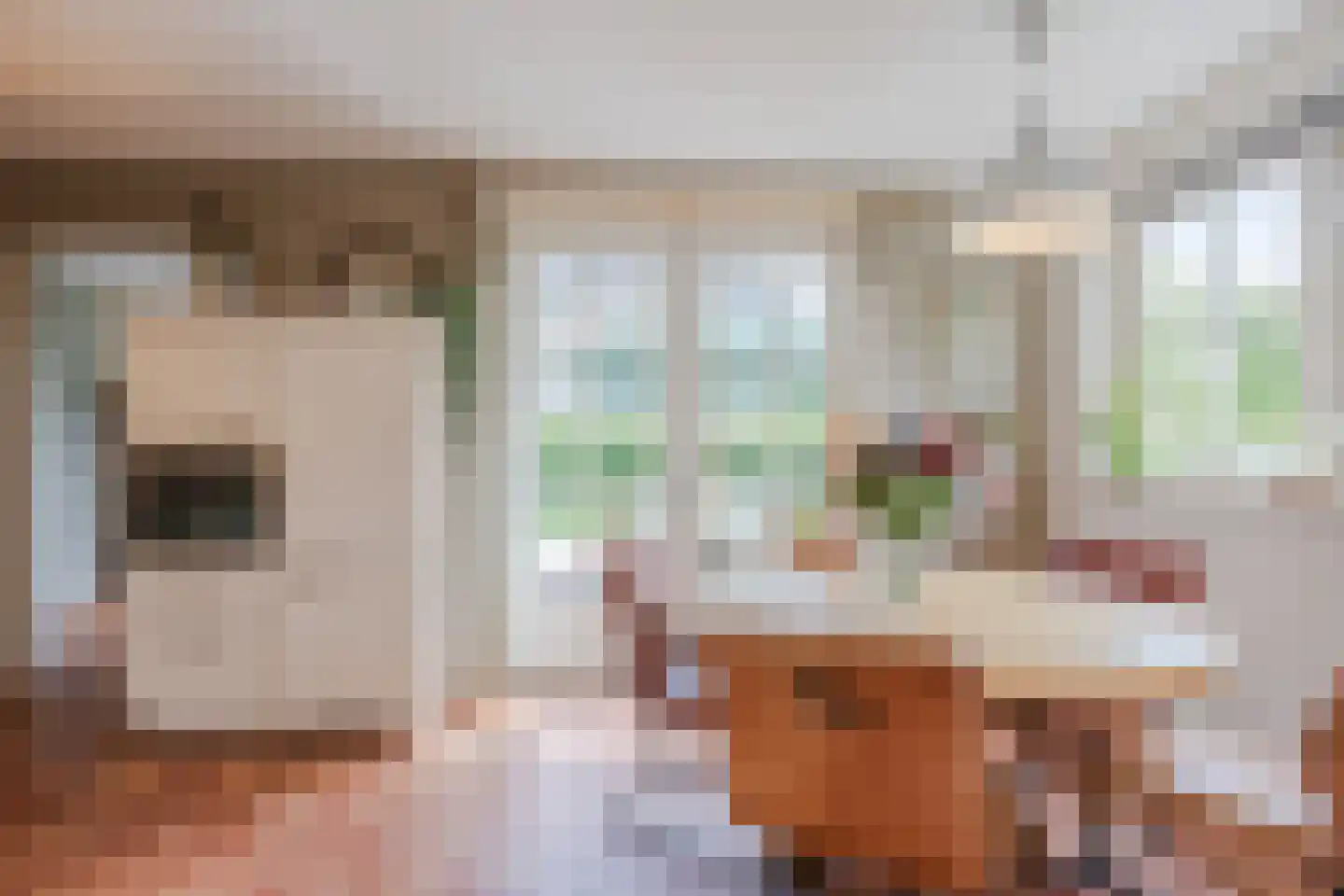Van der Waalslaan 7 Almelo thumbnail 14