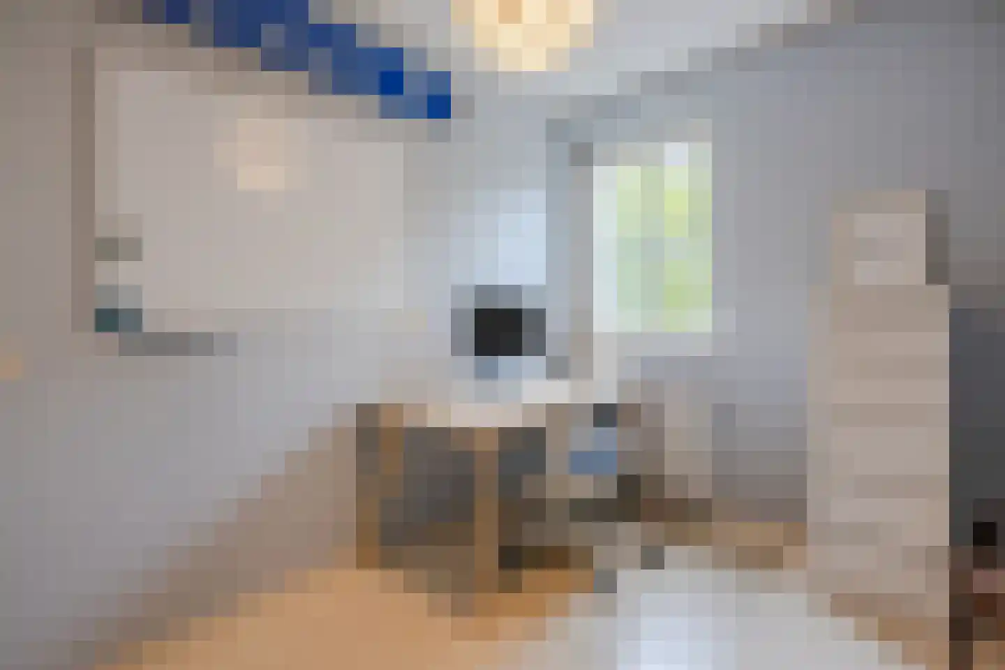 Van der Waalslaan 7 Almelo thumbnail 33