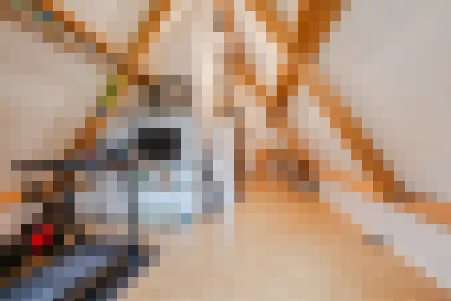 Van der Waalslaan 7 Almelo thumbnail 41