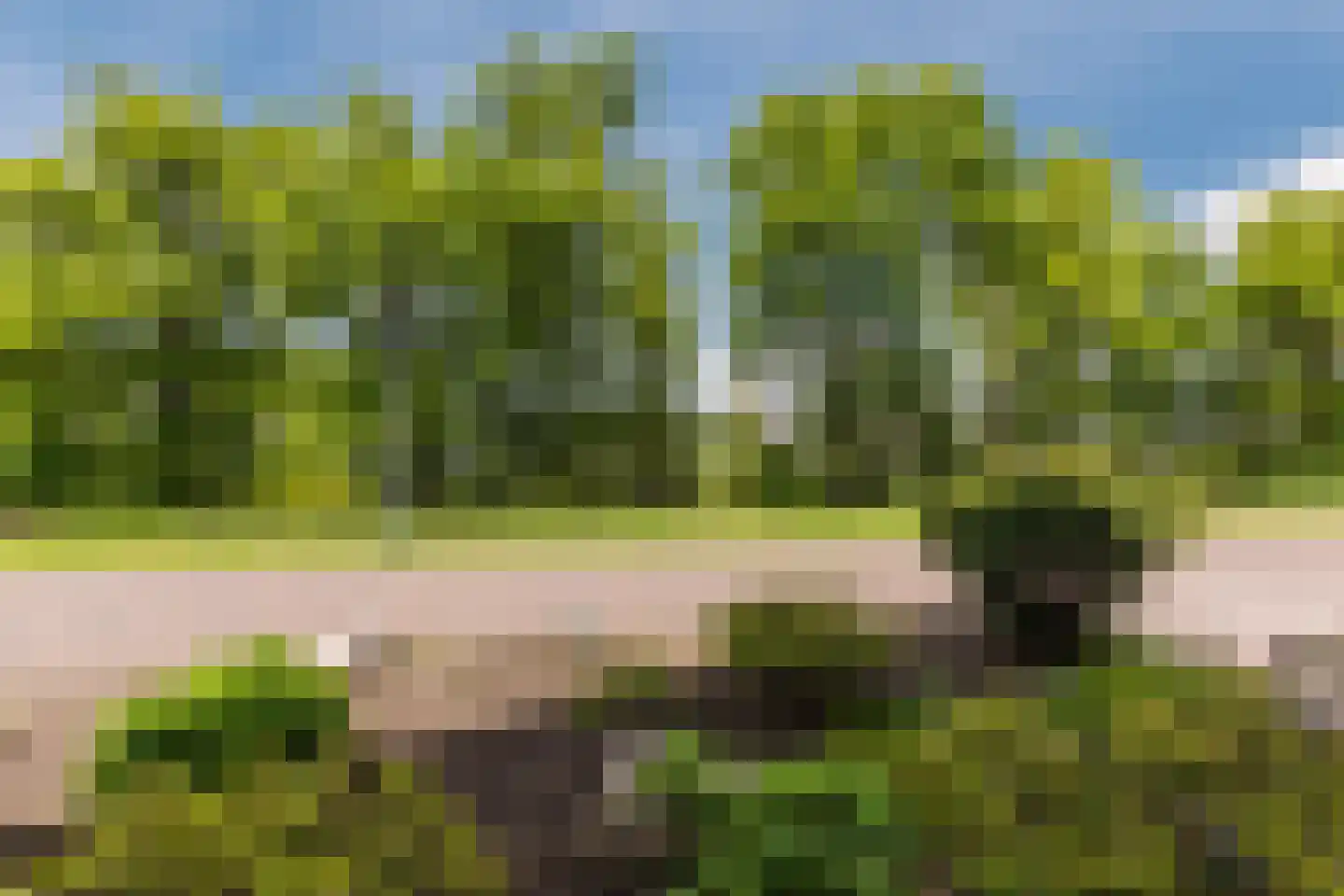 Van der Waalslaan 7 Almelo thumbnail 45