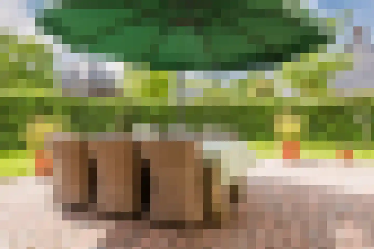 Van der Waalslaan 7 Almelo thumbnail 46