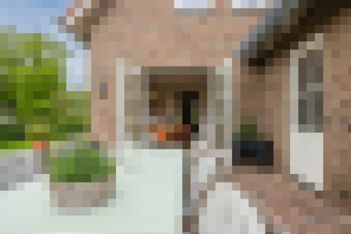 Van der Waalslaan 7 Almelo thumbnail 47