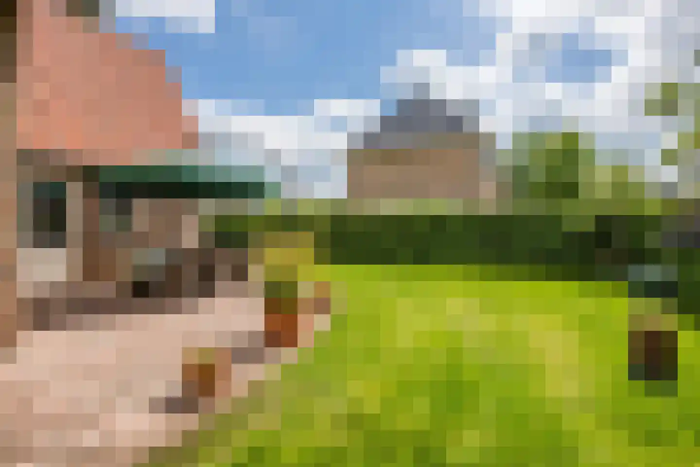 Van der Waalslaan 7 Almelo thumbnail 49