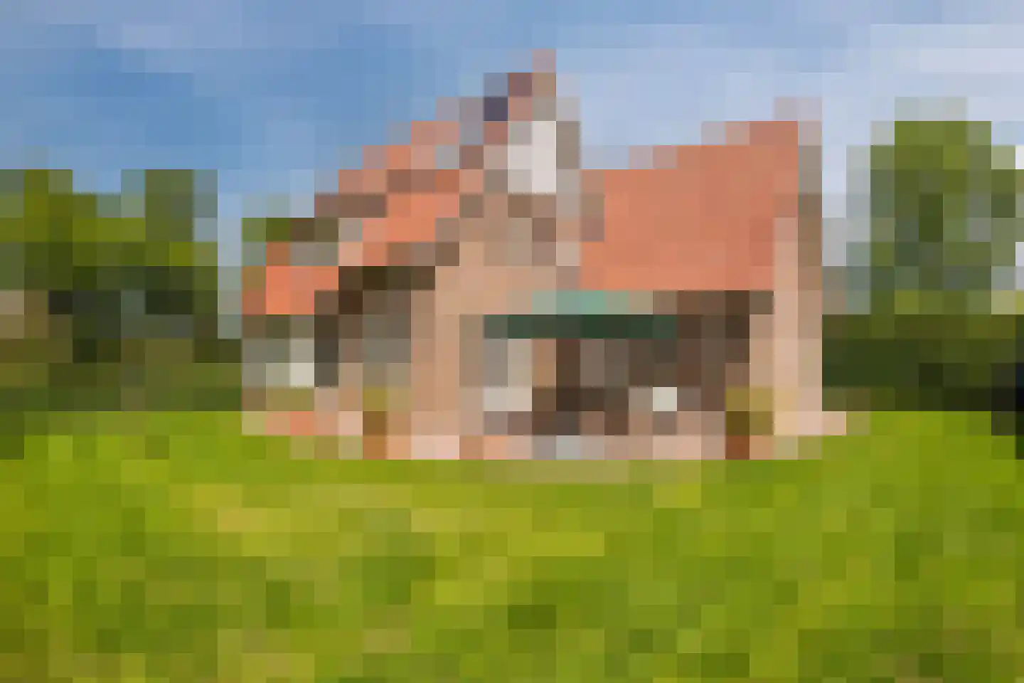 Van der Waalslaan 7 Almelo thumbnail 5
