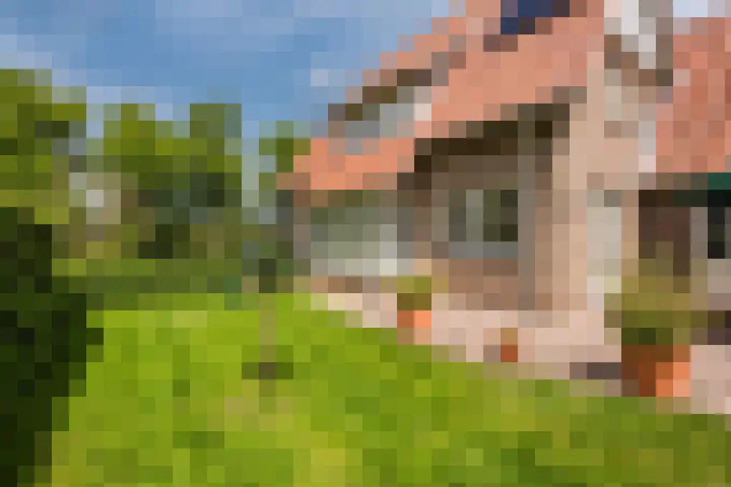 Van der Waalslaan 7 Almelo thumbnail 50