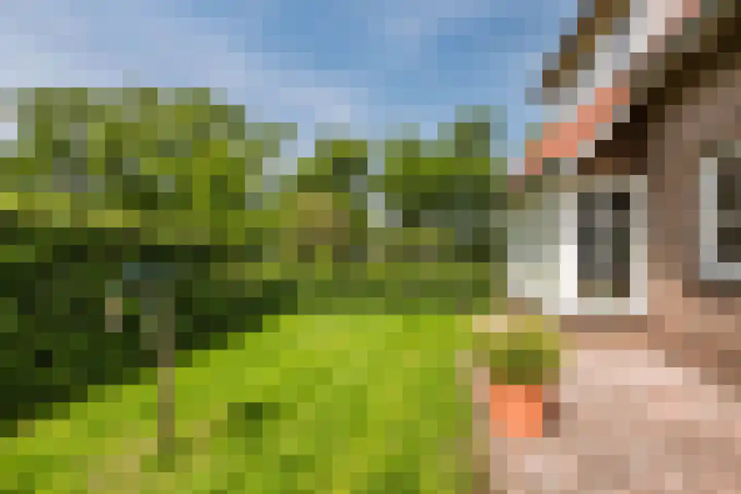 Van der Waalslaan 7 Almelo thumbnail 52