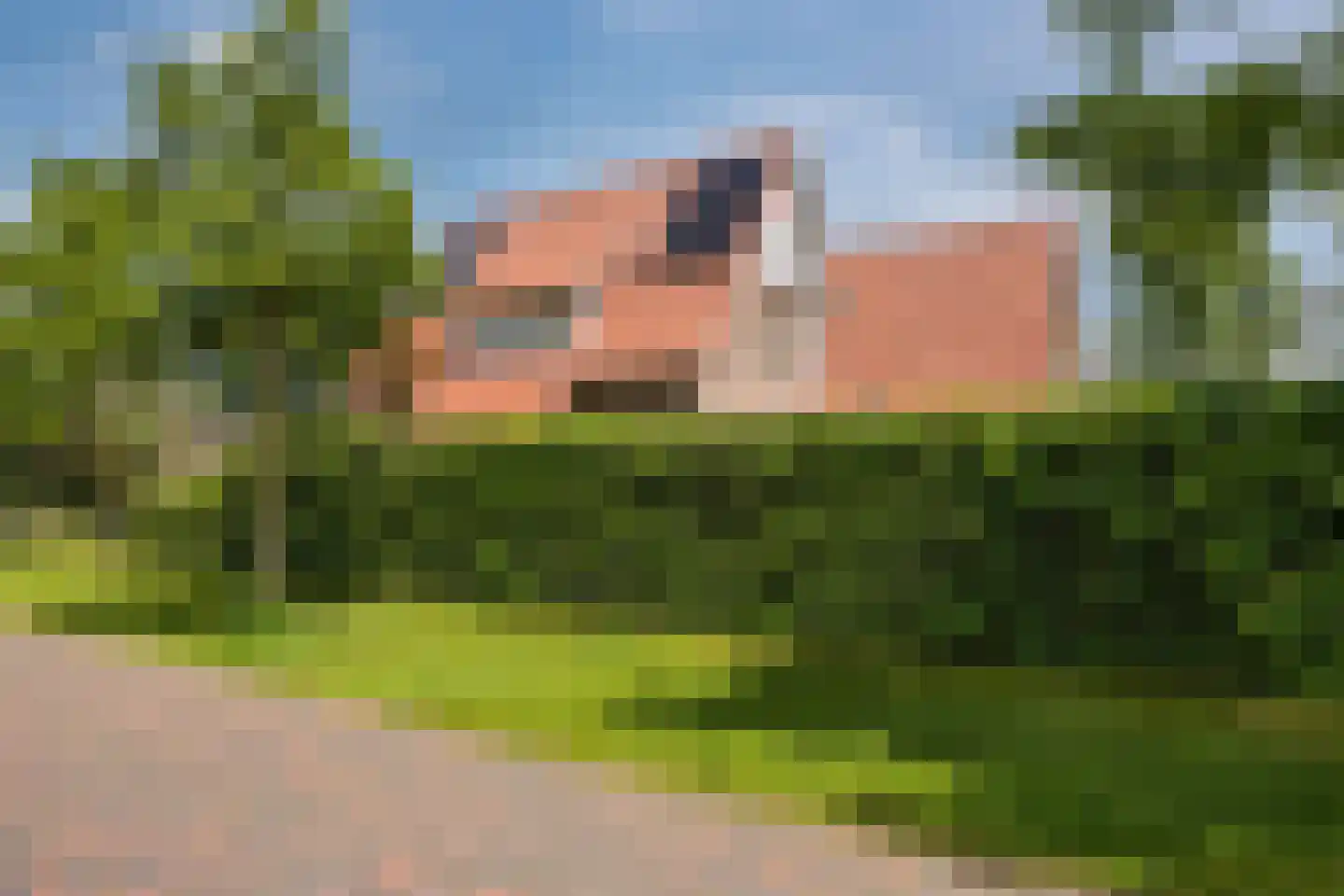 Van der Waalslaan 7 Almelo thumbnail 53
