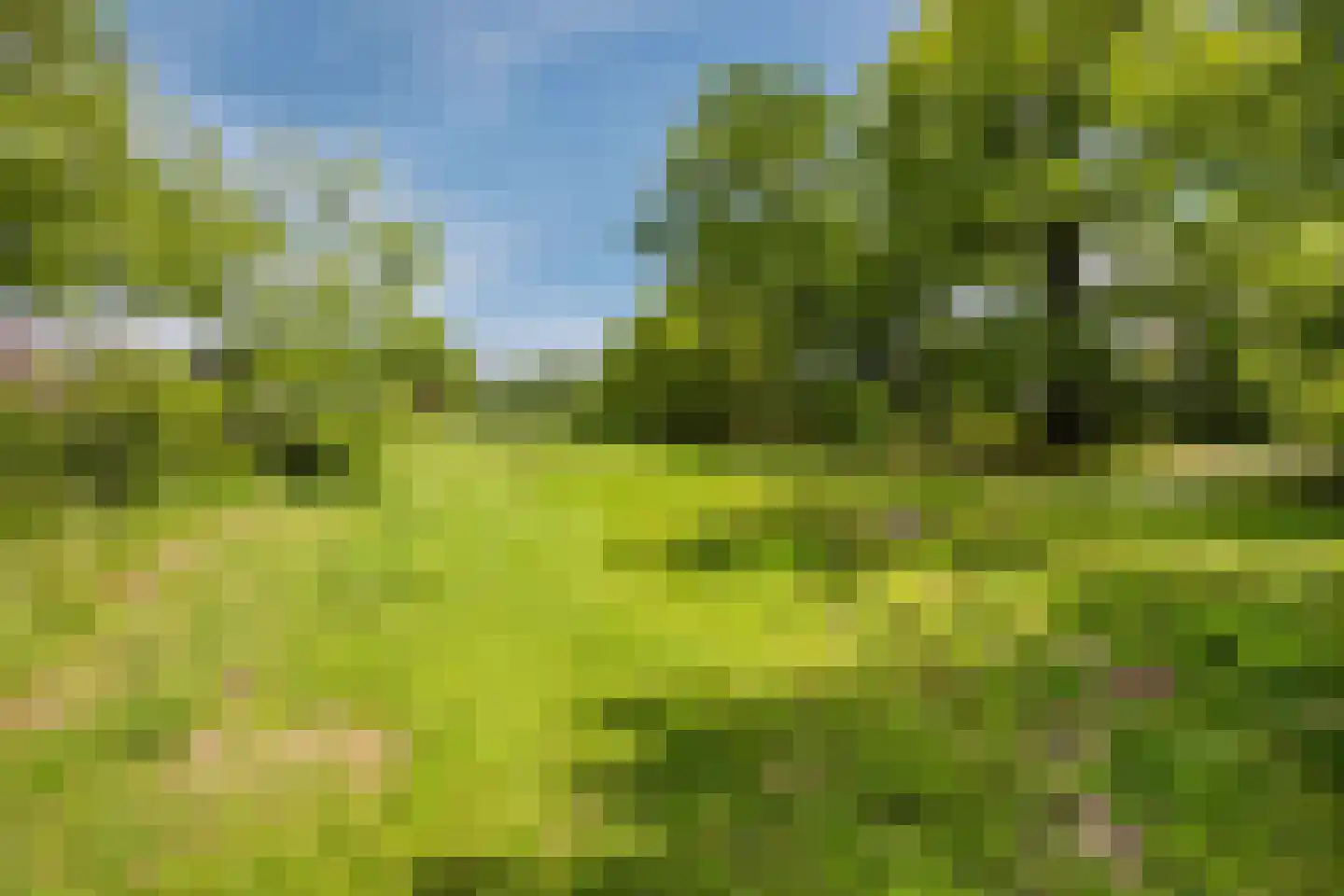 Van der Waalslaan 7 Almelo thumbnail 54