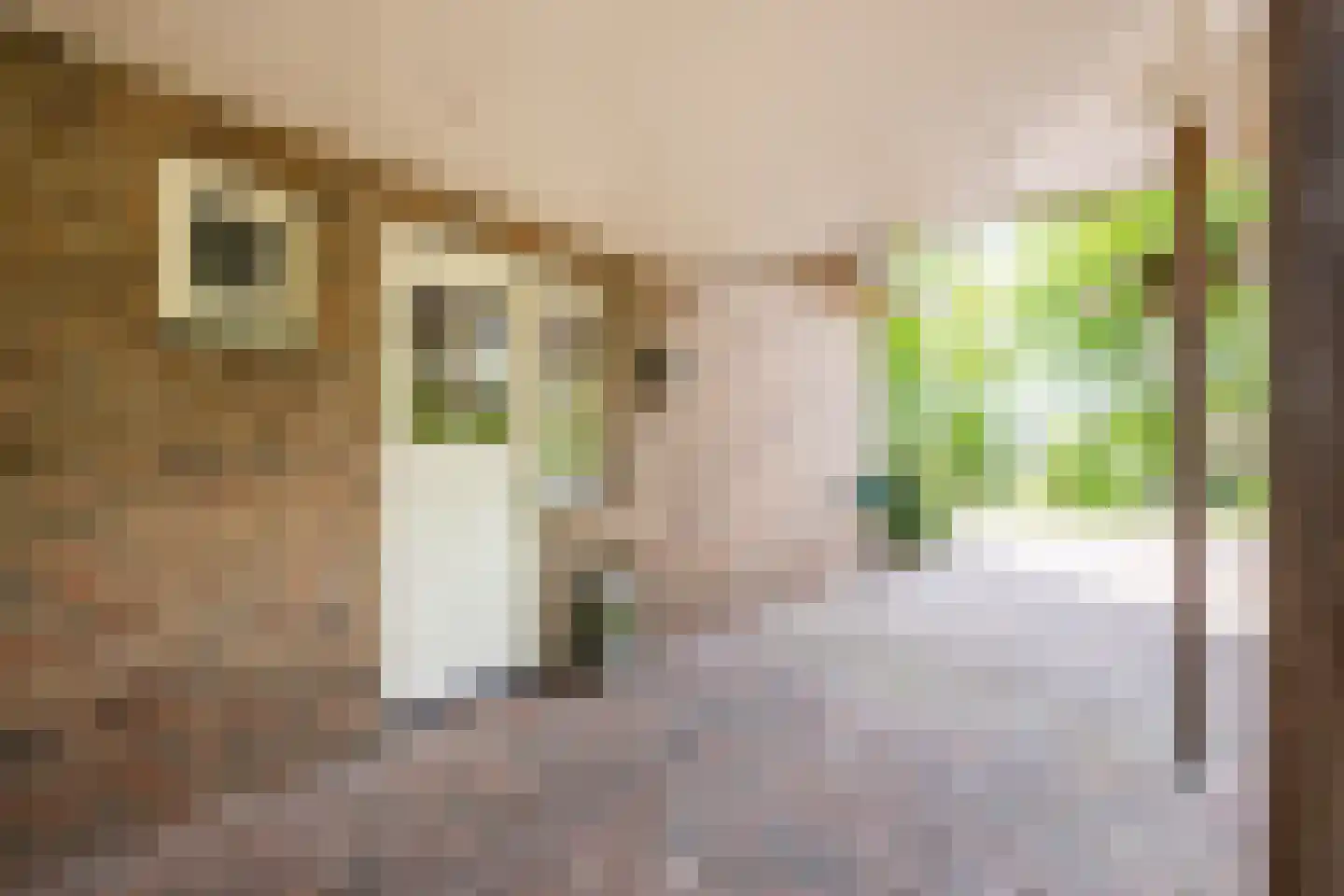 Van der Waalslaan 7 Almelo thumbnail 8