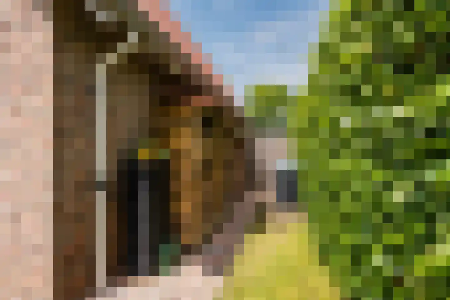 Van der Waalslaan 7 Almelo thumbnail 9