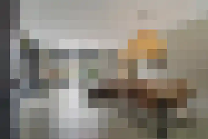 Van der Waalslaan 88 Rotterdam thumbnail 13